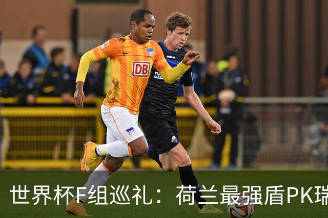 世界杯F组巡礼：荷兰最强盾PK瑞典犀利刀 日本短板明显